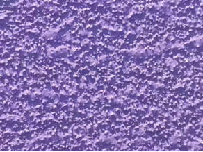 Ceramic Sanding Belt Supplier