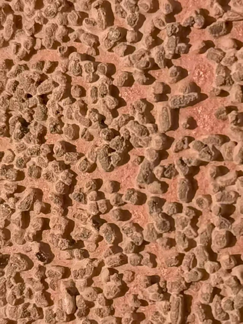 High quality accumulated alumina abrasive grain texture of CVPM RAA918Y sand belt High quality accumulated alumina abrasive grain texture of CVPM RAA918Y sand belt